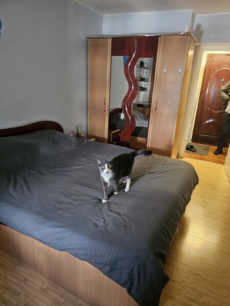 Pantelimon, Spitalul Pantelimon